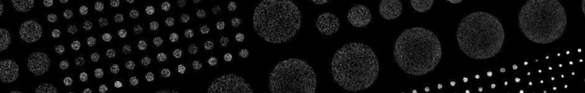 Organoid micropattern field